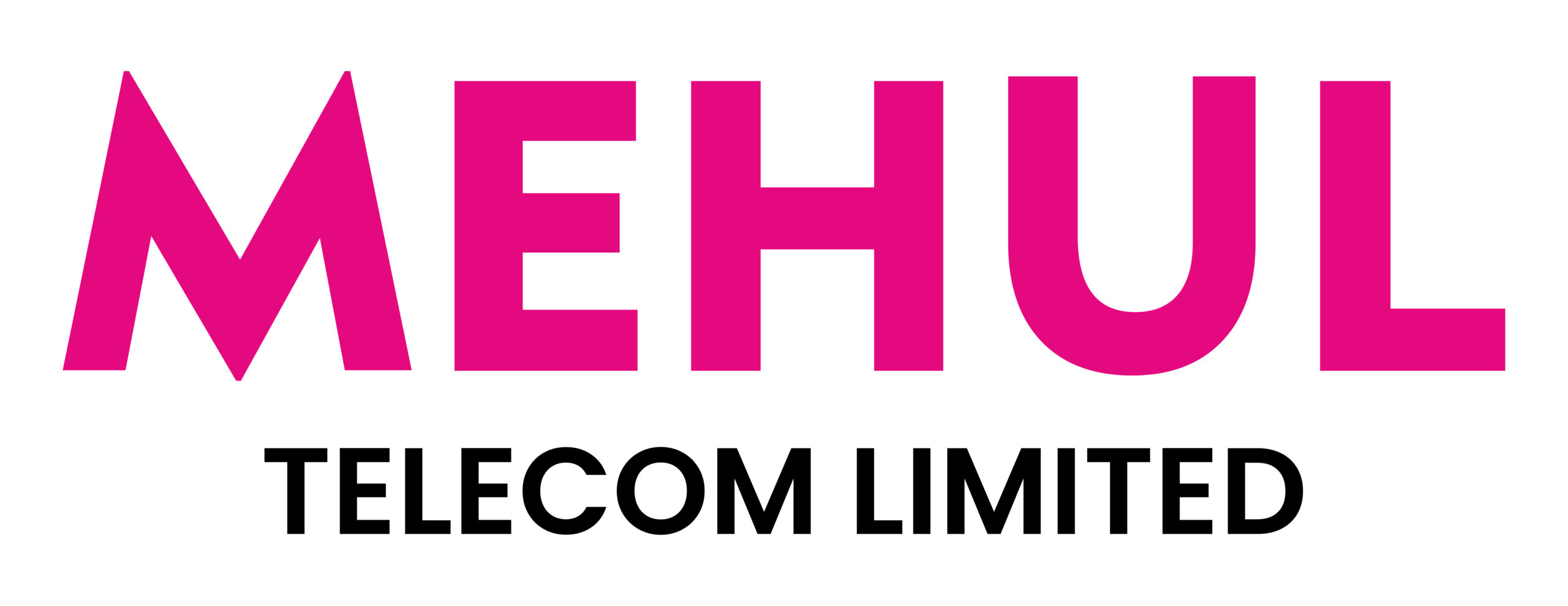 MEHUL TELECOM LIMITED